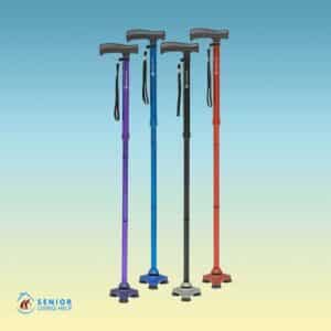 modern walking sticks